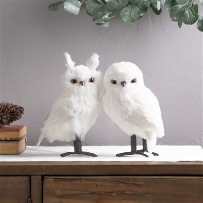 White Owls