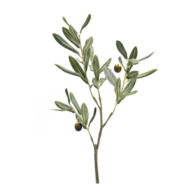 Olive Leaf Spray