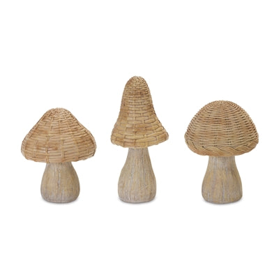 Rattan Mushrooms