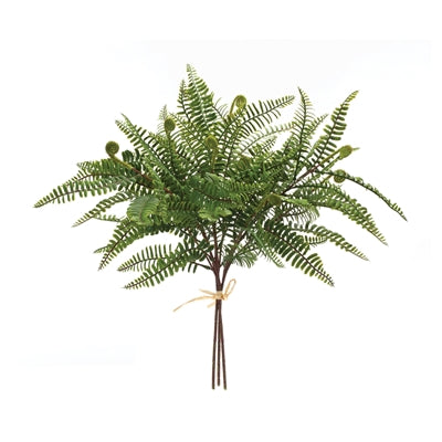 Fern Bundle Spray