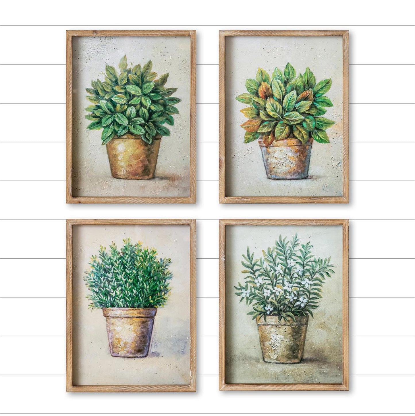 Potted Plant Art