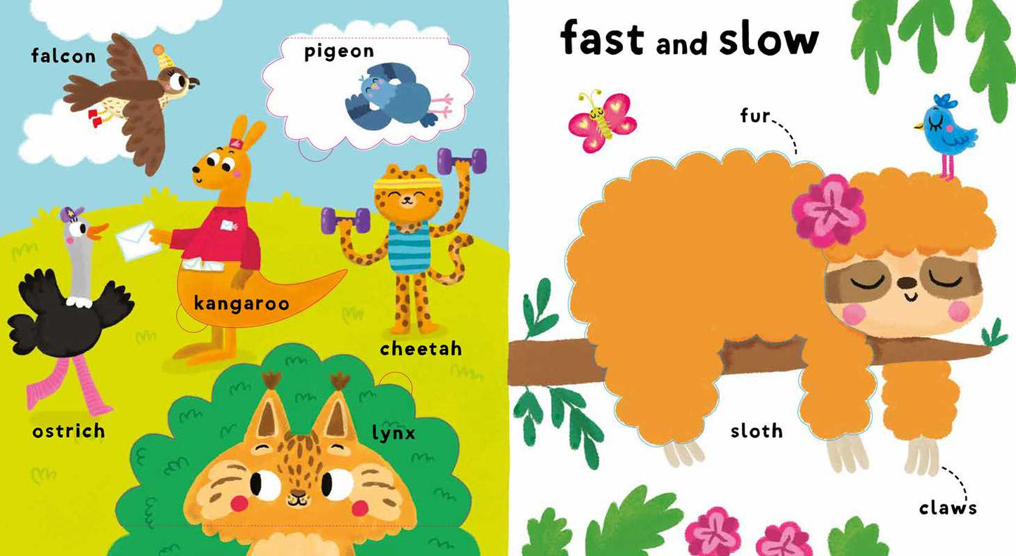 My First 100 Words Touch & Feel with Flaps - Wild Animals