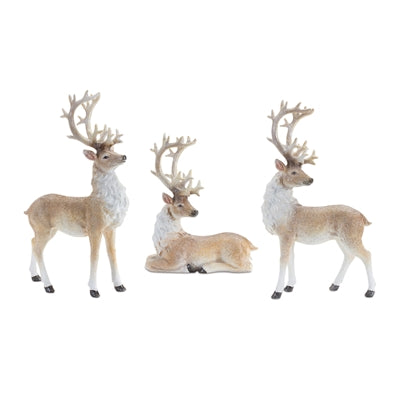 Deer Decor