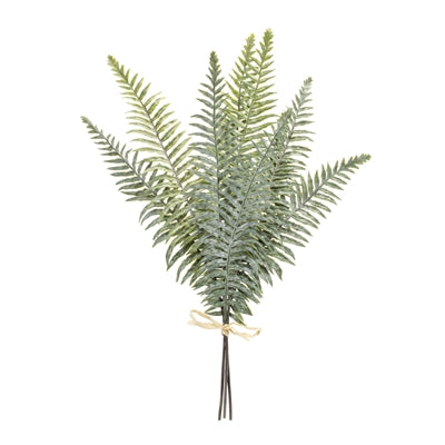Fern Bundle