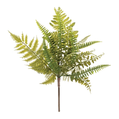 Mixed Fern Spray