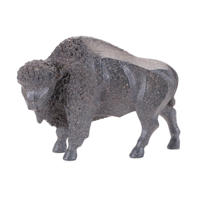 Bison