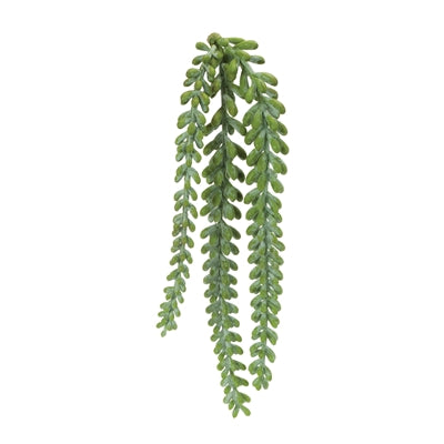 Succulent Stem