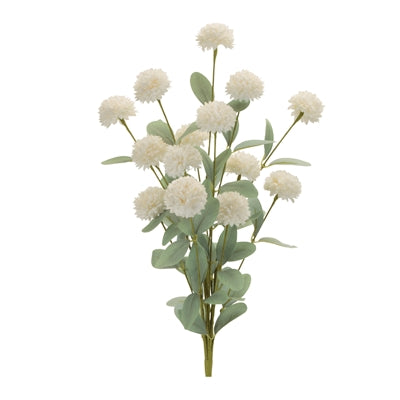 White Mini Mum Bush
