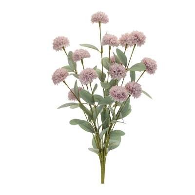 Purple Mini Mum Bush