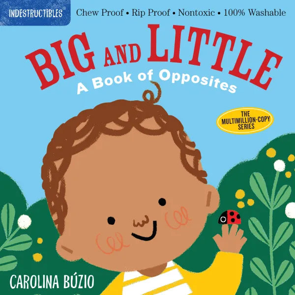 Indestructibles: Big & Little Book