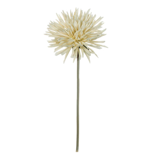 Dahlia Stem