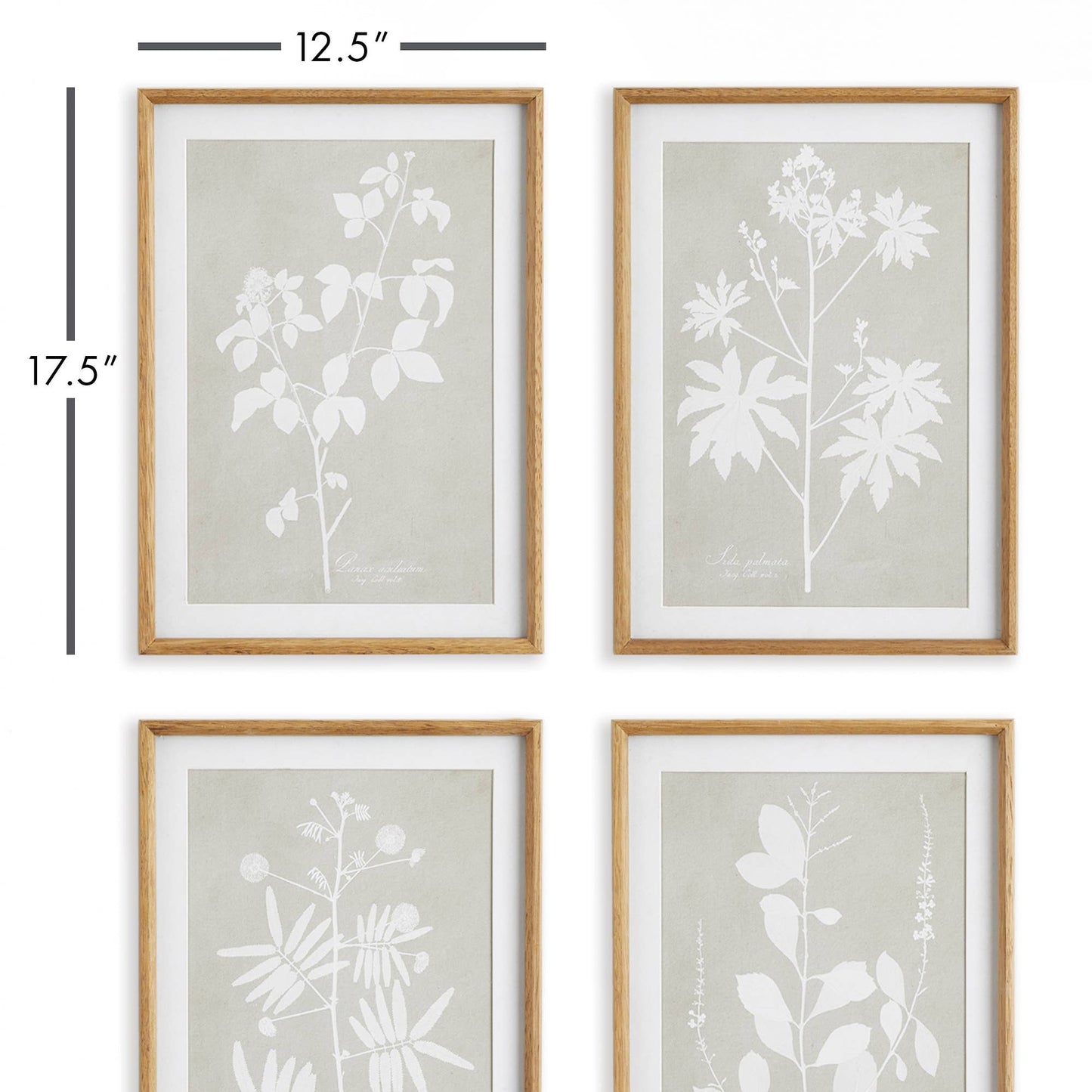 Foliage Study Wall Art