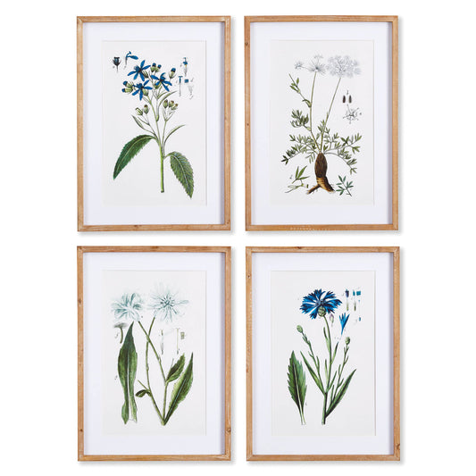 Mountain Botanical Prints