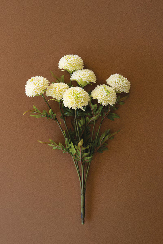 White Dahlias