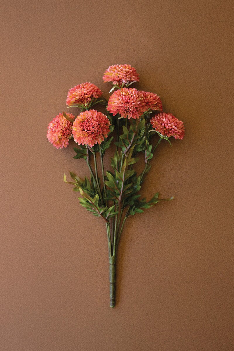 Blush Dahlias