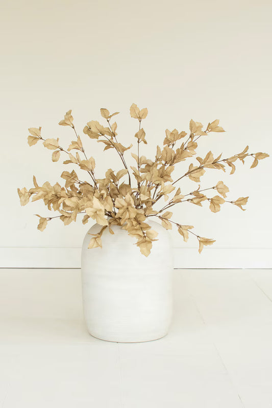 Cream Botanica