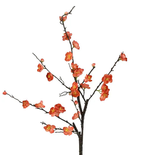 Japanese Peach Blossom Branch - Coral