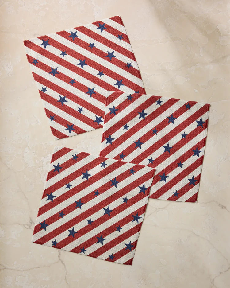 Patriotic Stripe Dishcloth Set