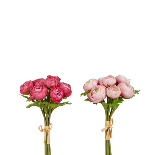 Soft Touch Ranunculus Bundle