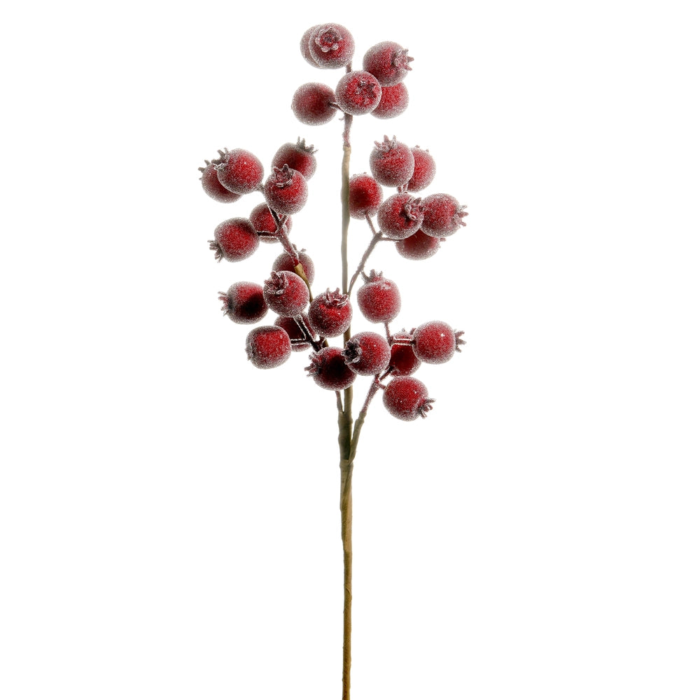 Iced Berry Spray