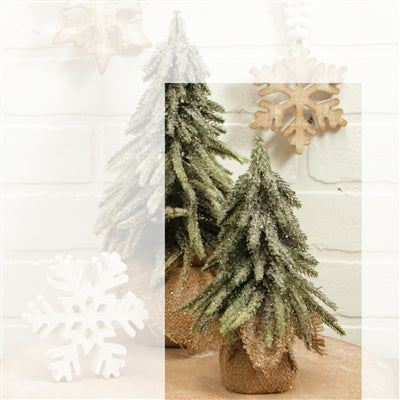 Fir Tree