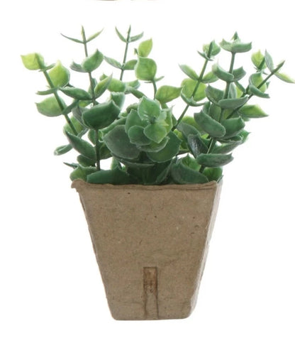 Faux Eucalyptus Plant in Paper Pot