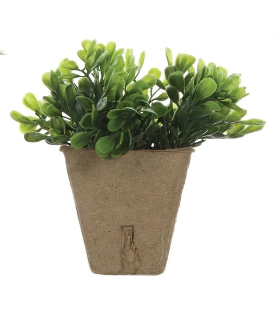 Faux Boxwood Plant in Paper Pot