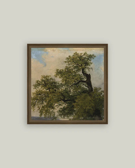 Painted Trees Wall Art