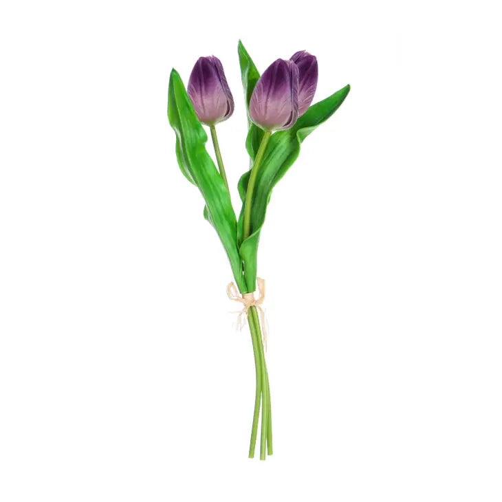 Purple Tulip Bundle