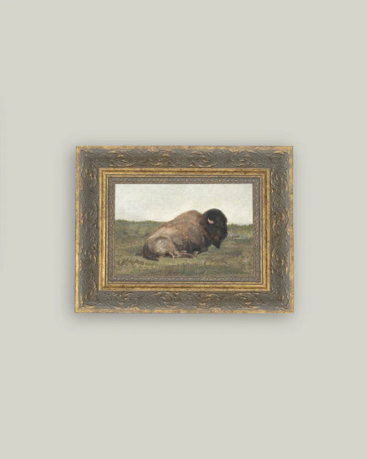 Resting Bison Wall Art