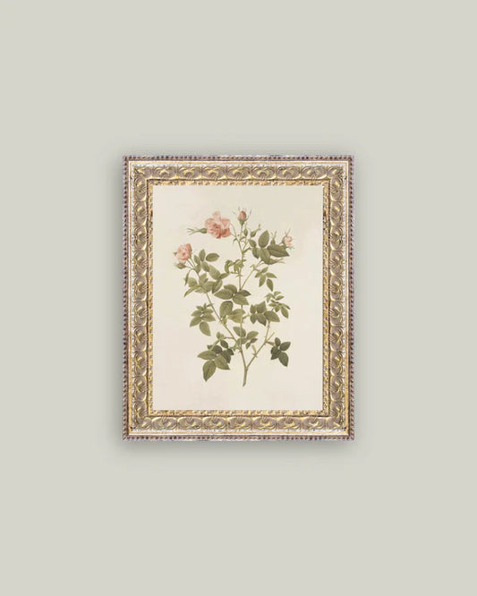 Rosa Wall Art