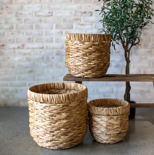 Hyacinth Baskets