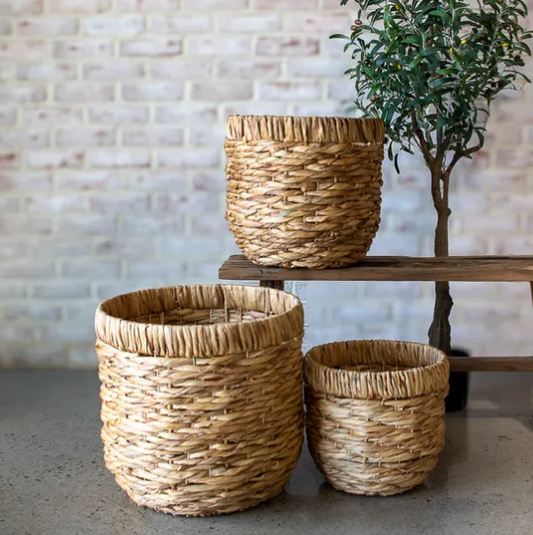 Hyacinth Baskets