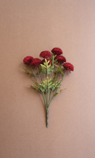 Red Dahlias