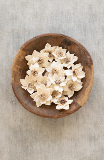 Dried Rukmani