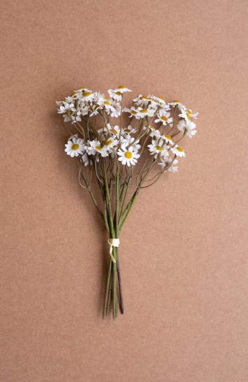 White Chamomile Bundle