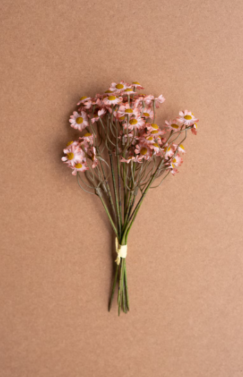 Blush Chamomile Bundle
