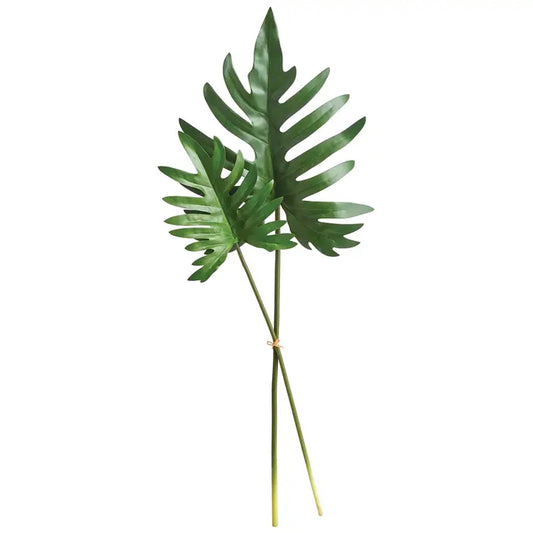 Split Leaf Selloum Stems, Bundle Of 2