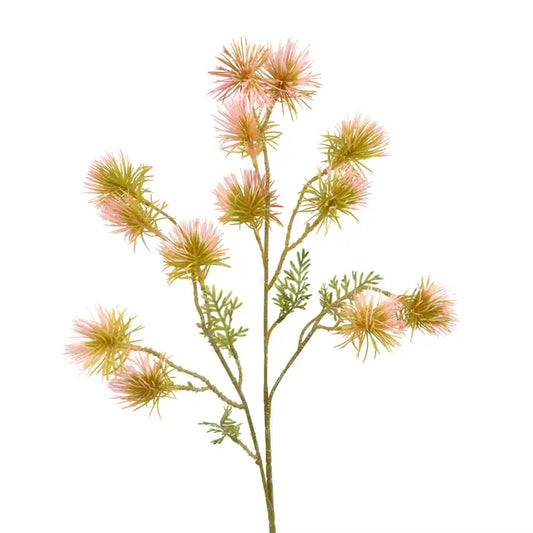 Field Thistle Spray - Pink