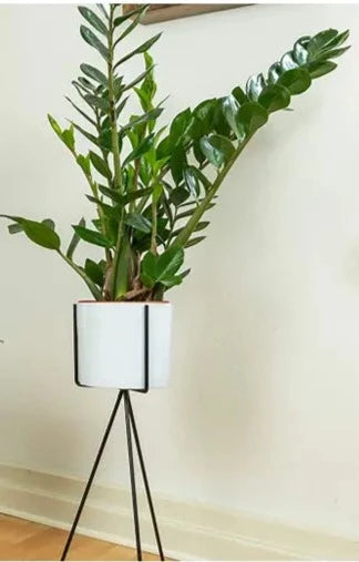 Large White Planter with Metal Plant Stand