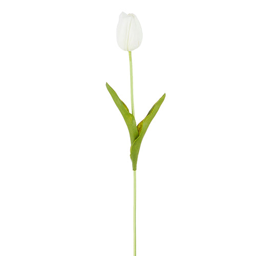 15” White Single Tulip