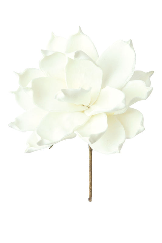 White Bloom Botanica