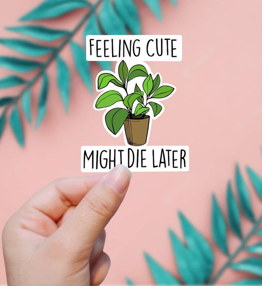 Feeling Cute Might Die Later
