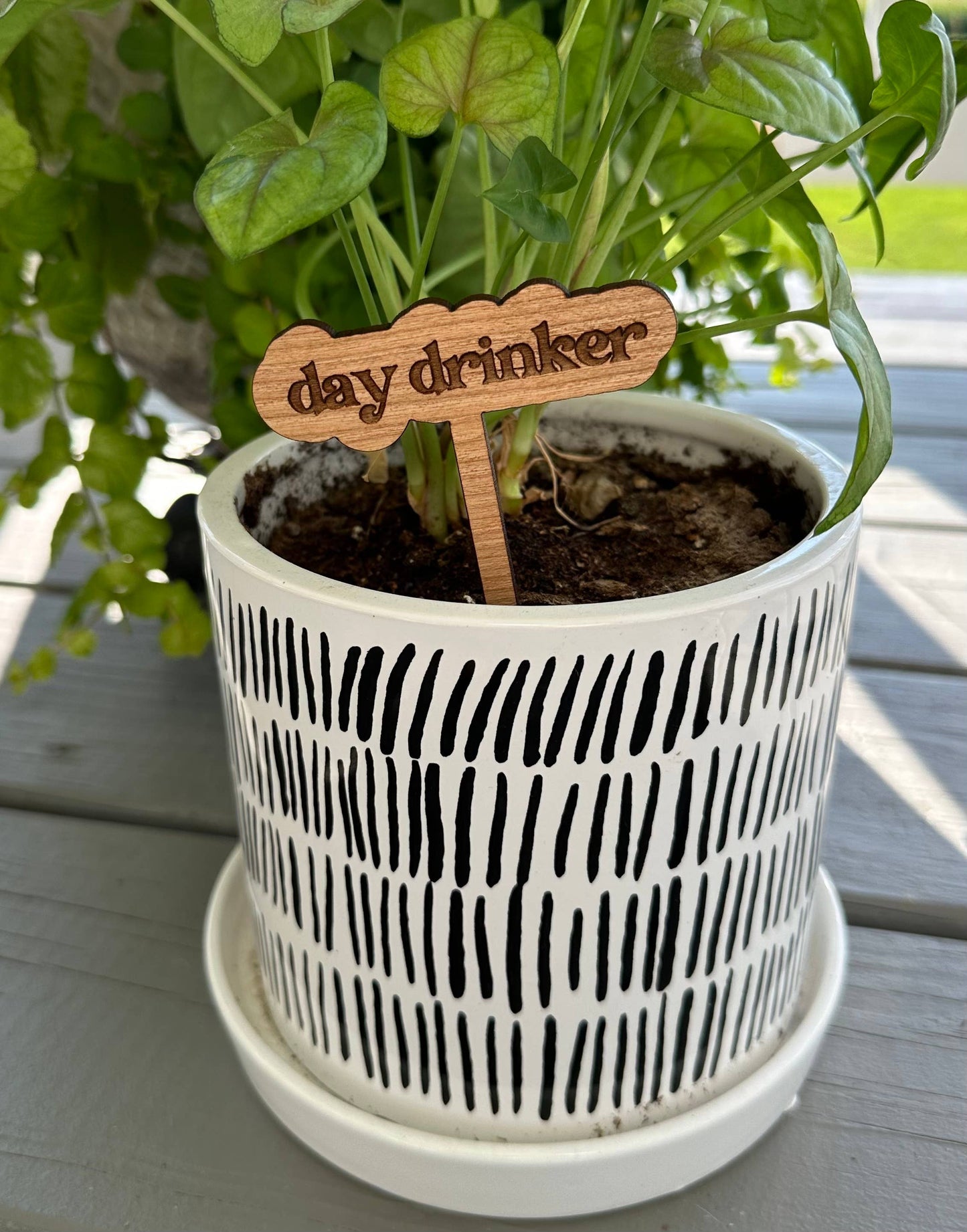 Thrives on Neglect Plant Stake