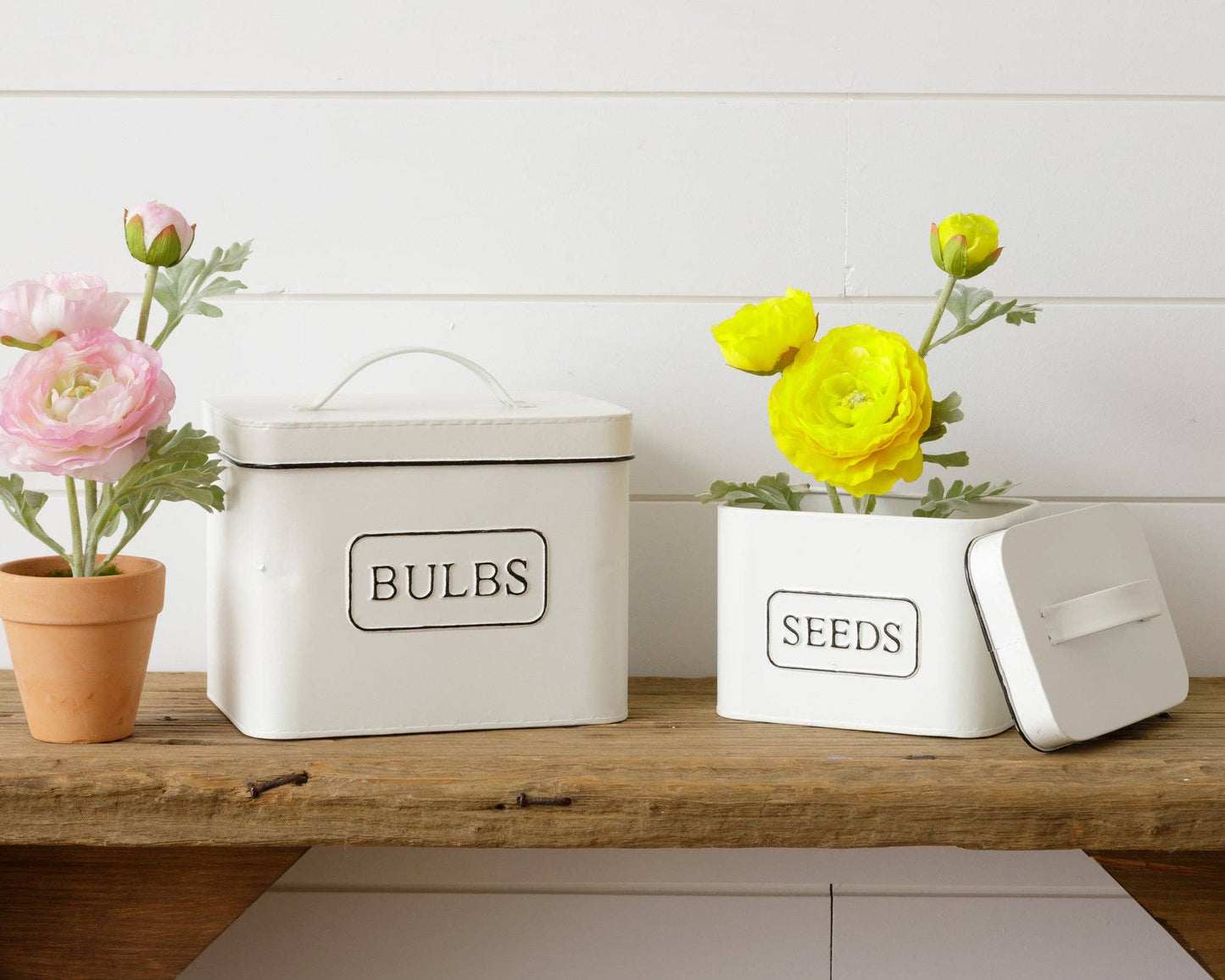 Seeds and Bulbs Tins