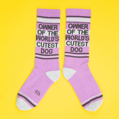 Owner Of The World's Cutest Dog Crew Socks