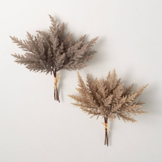 Pampas Grass Bush