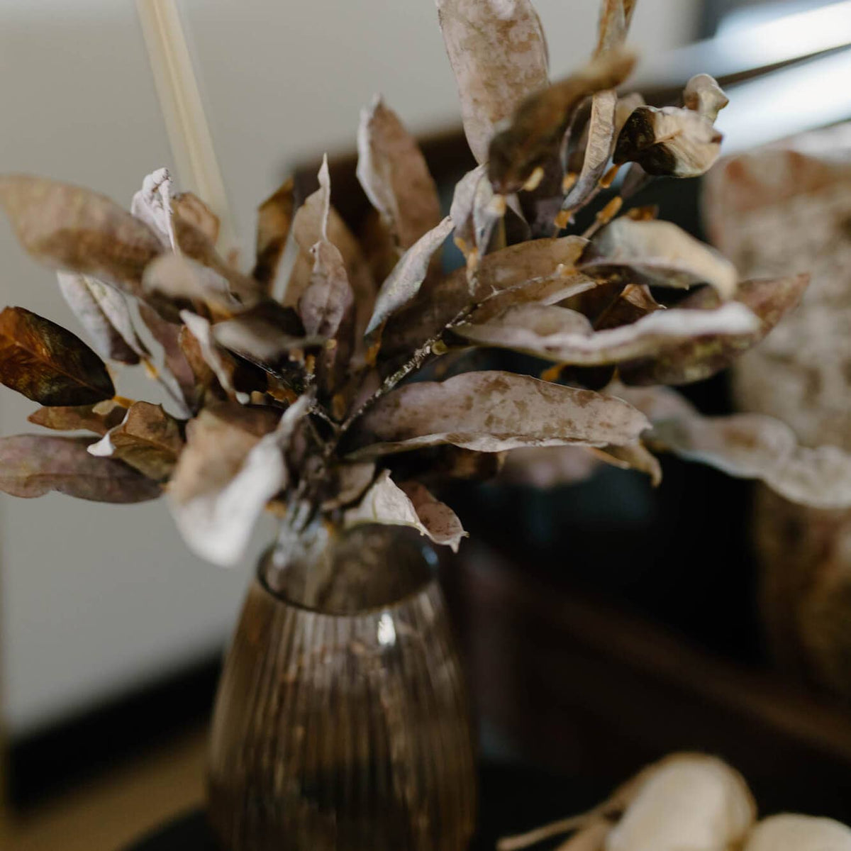 Leaf Spray