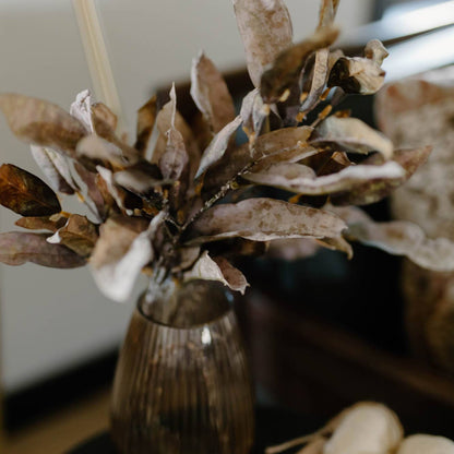 Leaf Spray