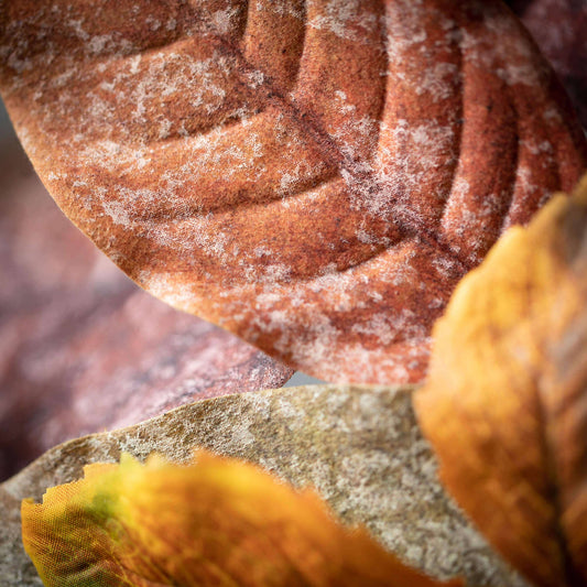 Mixed Leaf Spray